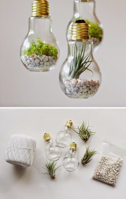 Terrariums from Light Bulbs - Summer Decorating Ideas