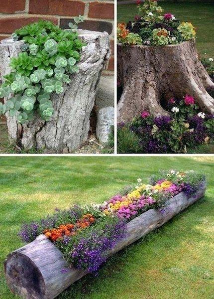 Blossoming Tree Stumps - Amazing and Earthy