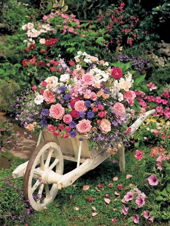 An Alternative to a Flowerpot – A Fabulous Wheelbarrow