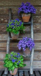 A Ladder of Flowers - Garden Decoration Ideas for Summer
