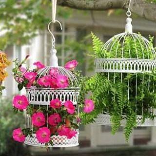 Blossoming Birdcages – Stunning and Spectacular