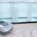 Aeration and dissolved oxygen in the aquarium