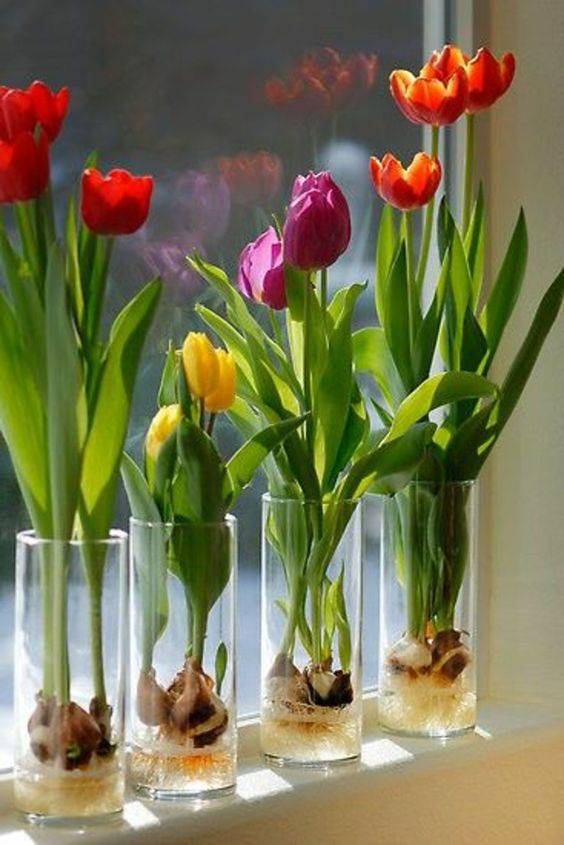 Growing Tulips - Spring Floral Table Decor