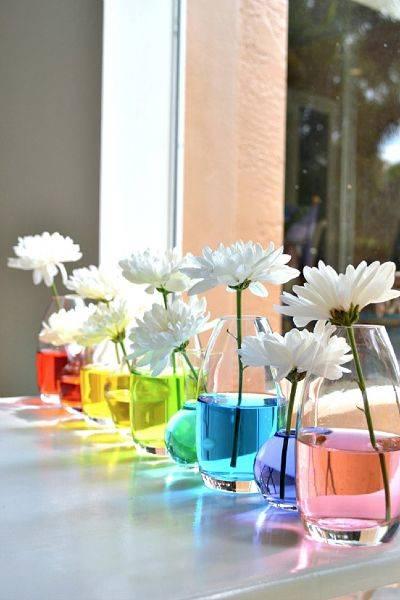 A Set of Rainbow Flowers - Science and Creation