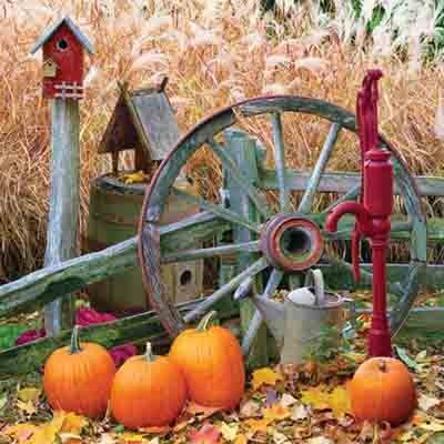 Festive for Fall - Fall Decorating Ideas for Outside