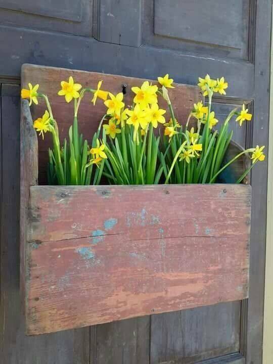 Dancing Daffodils - Spring Door Decorations