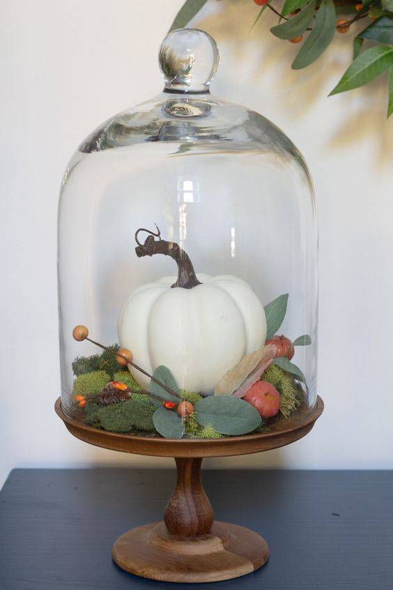 A Small Terrarium - For a Small Pumpkin