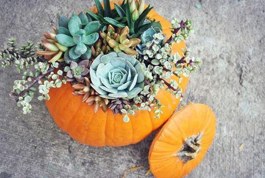 A Pumpkin Vase – Halloween Pumpkin Decorations