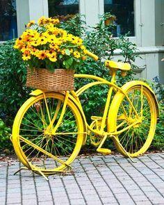 A Burst of Yellow - A Bicycle Planter