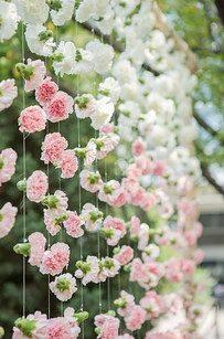 Pink and White Carnations - Floral Backdrop