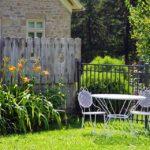 TIPS ON CLEANING YOUR BACKYARD