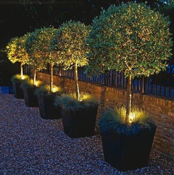 Lighting from Below - Garden Lighting Designs