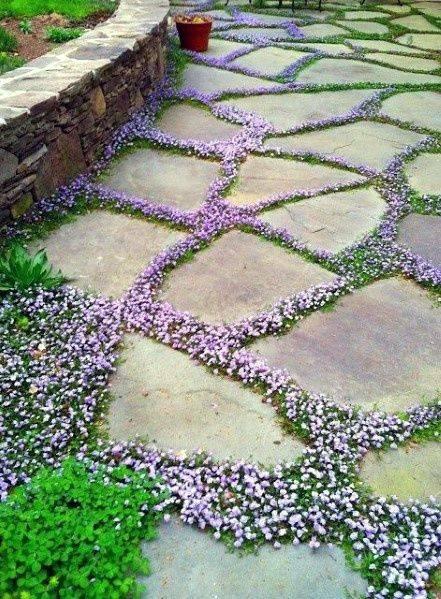 A Carpet of Flowers - Easy Garden Path Designs
