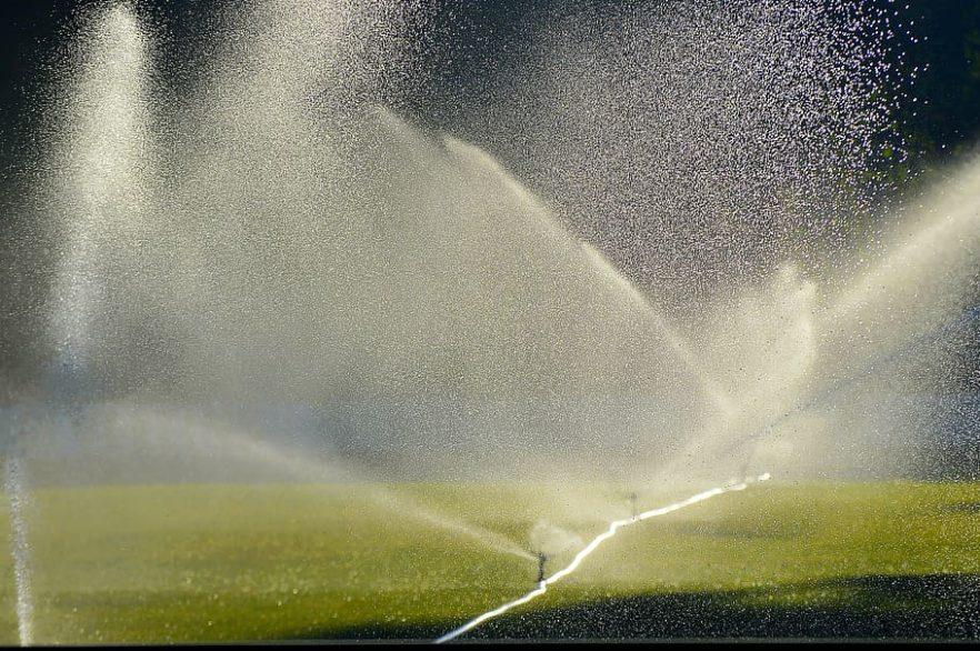 person, throwing, water, plants, lawn irrigation, sprinkler, football pitch, morning, mood, early in the morning