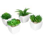 How to Choose Fake Plants in Sydney?