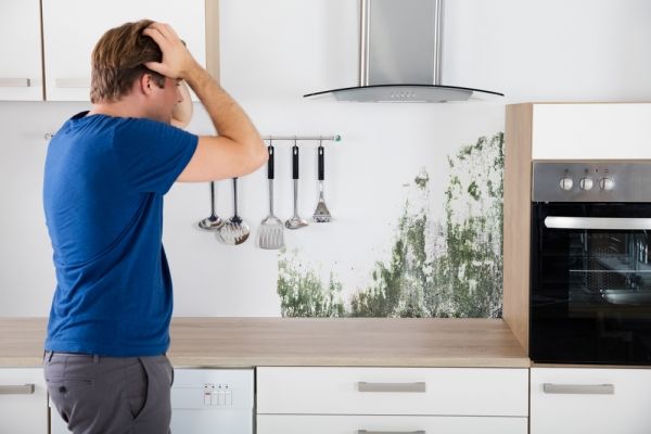 Mold in Fort Myers | Common Causes of Kitchen Mold