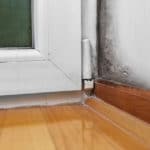 Top Six Causes of Mold In North Salt Lake Households