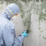 How Mold Restoration Services Can Help You