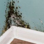 DAMP ON FLOORS AND WALLS? HERE IS WHAT YOU SHOULD DO