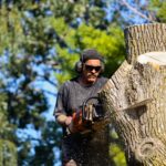 Tree Services and Removal in Kennett Square, PA