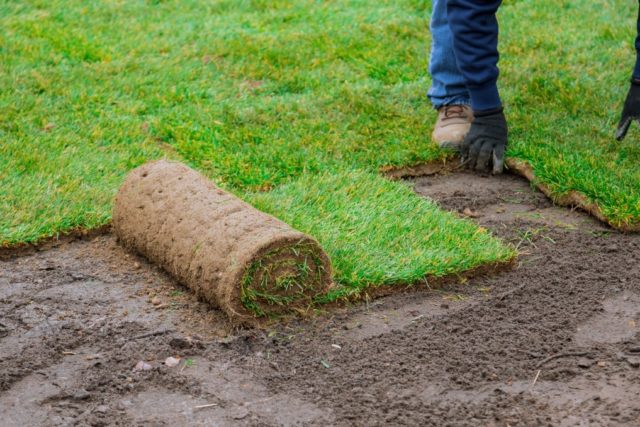 How To Lay Sod: Quick and Easy Guide to Installing a New Lawn - Backyard Boss