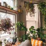 Turn Your Home Into A Beautiful Green Sanctuary With These Tips