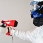Top Non-toxic Ways To Get Rid Of Mold