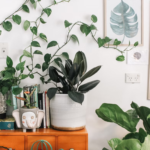 Keep Your Plants Healthy And Thriving With These Simple Ideas