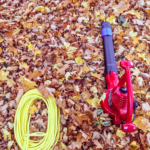 Cleaning Leaves in Your Yard: Manual and Power Methods