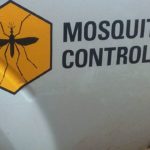 What To Look For In Mosquito Control Services In Your Area