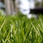 How much is artificial turf in Austin TX?