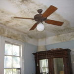 Could Venting Fresh Air Help Soothe Mold Growth?