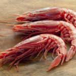 Discover the World of Prawns from Manettas
