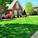 How Hiring Lawn Care Services Can Improve Your Backyard Experience
