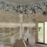 Water or Mold Damage: Safeguard Your Property with Professional Customized Waterproofing Solution