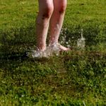 Unwanted Puddles: The Impact of Standing Water on Lawn Health