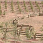 Experience the Beauty of Custom Wood Fencing