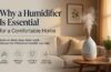 Why a Humidifier Is Essential for a Comfortable Home